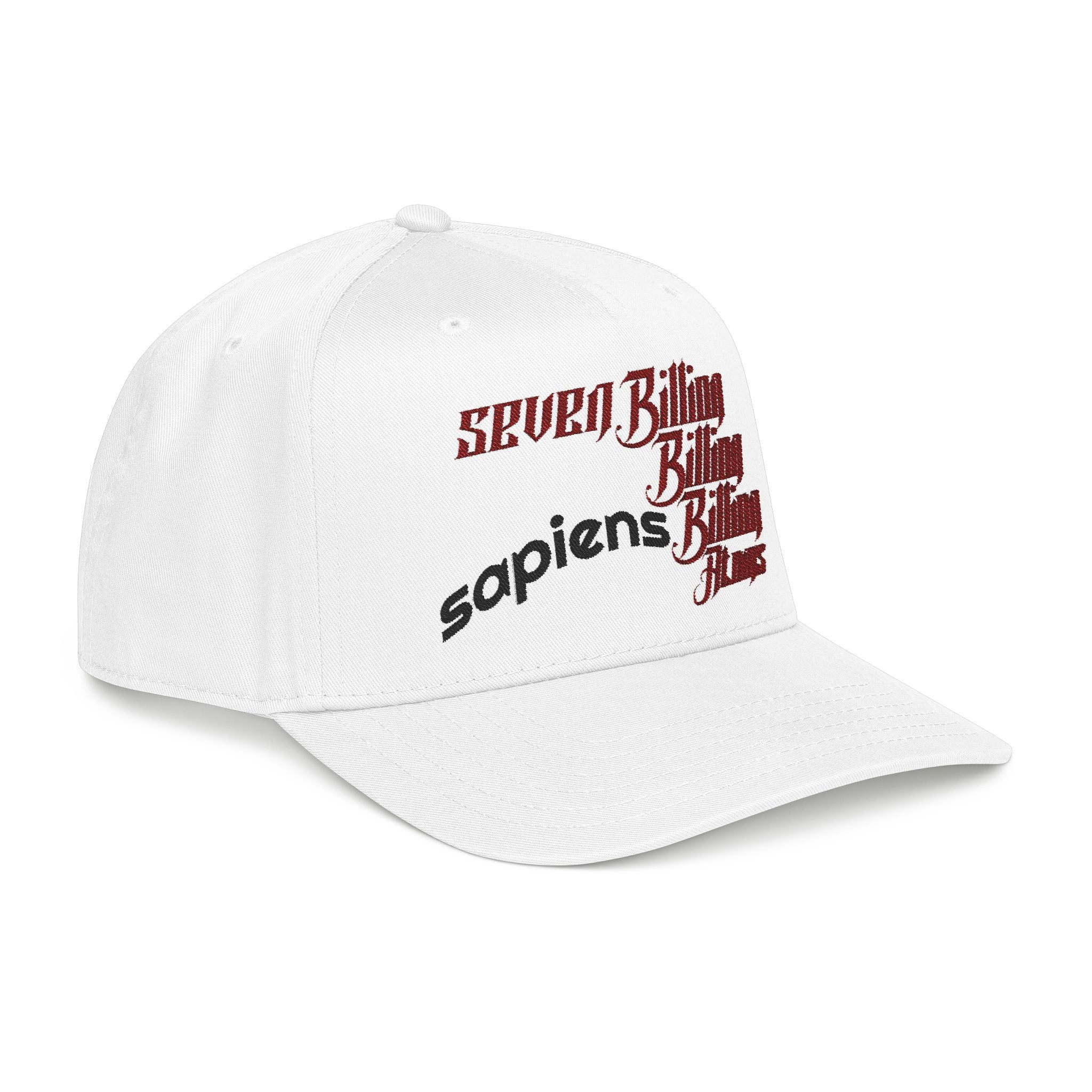 The Common Ground of "7 Billion Billion Billion Atoms" Embroidered Cap