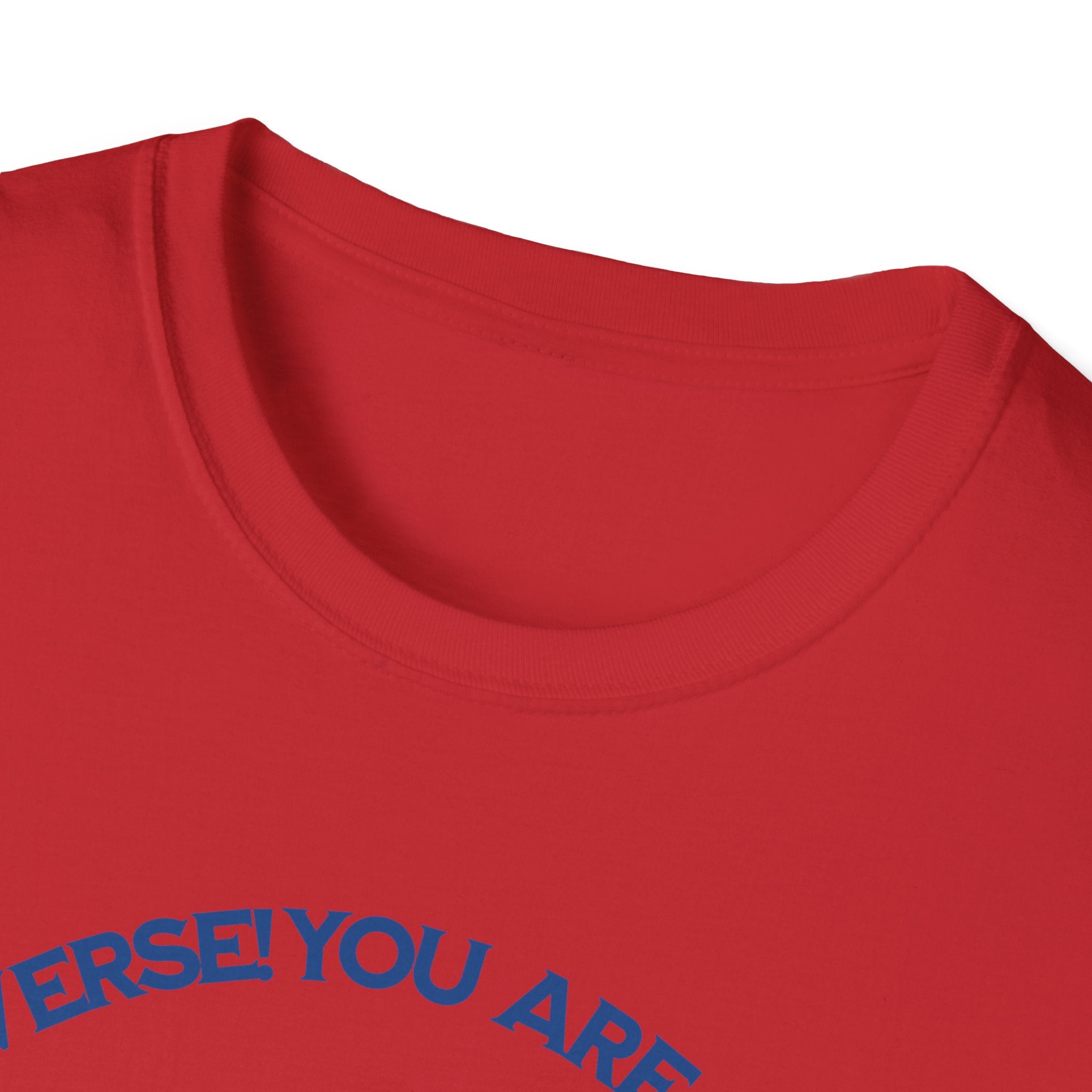 "You Are Not the Center of the Universe, But You Are The Universe" Retro Heart Graphic Tee
