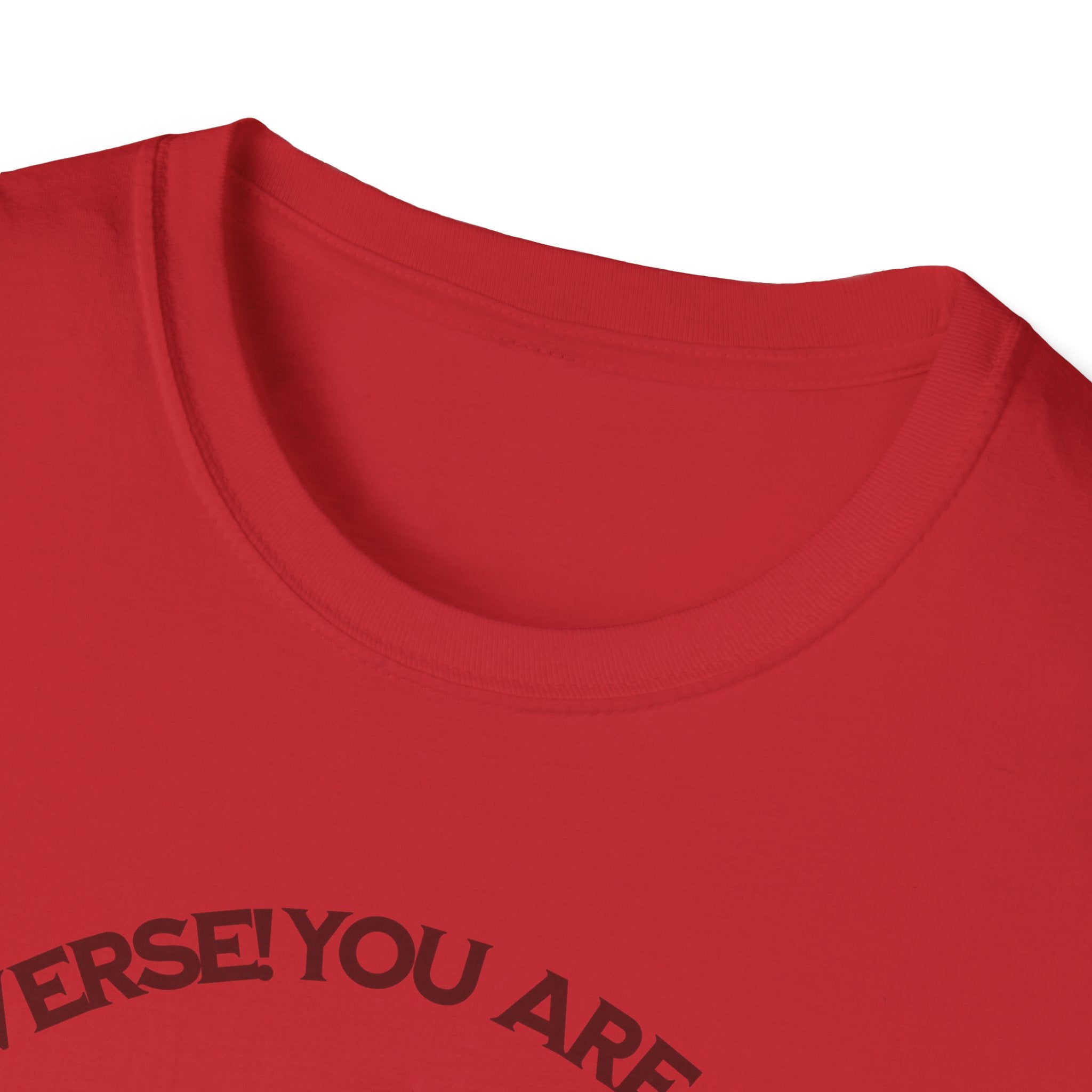 "You Are Not the Center of the Universe, But You Are The Universe" Retro Heart Graphic Tee