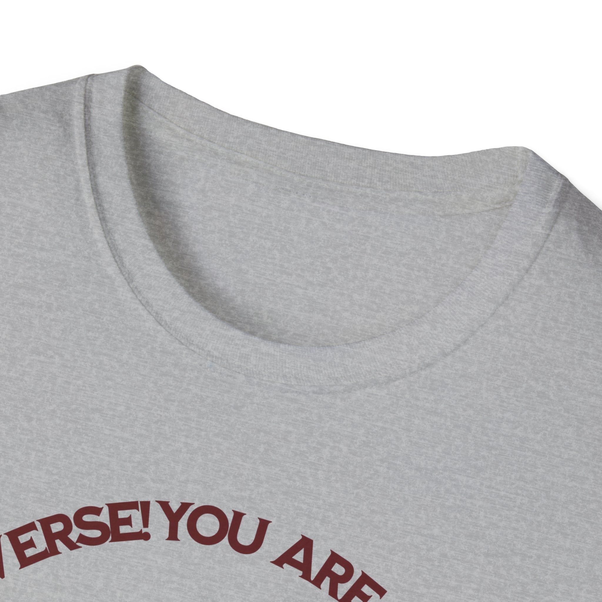 "You Are Not the Center of the Universe, But You Are The Universe" Retro Heart Graphic Tee