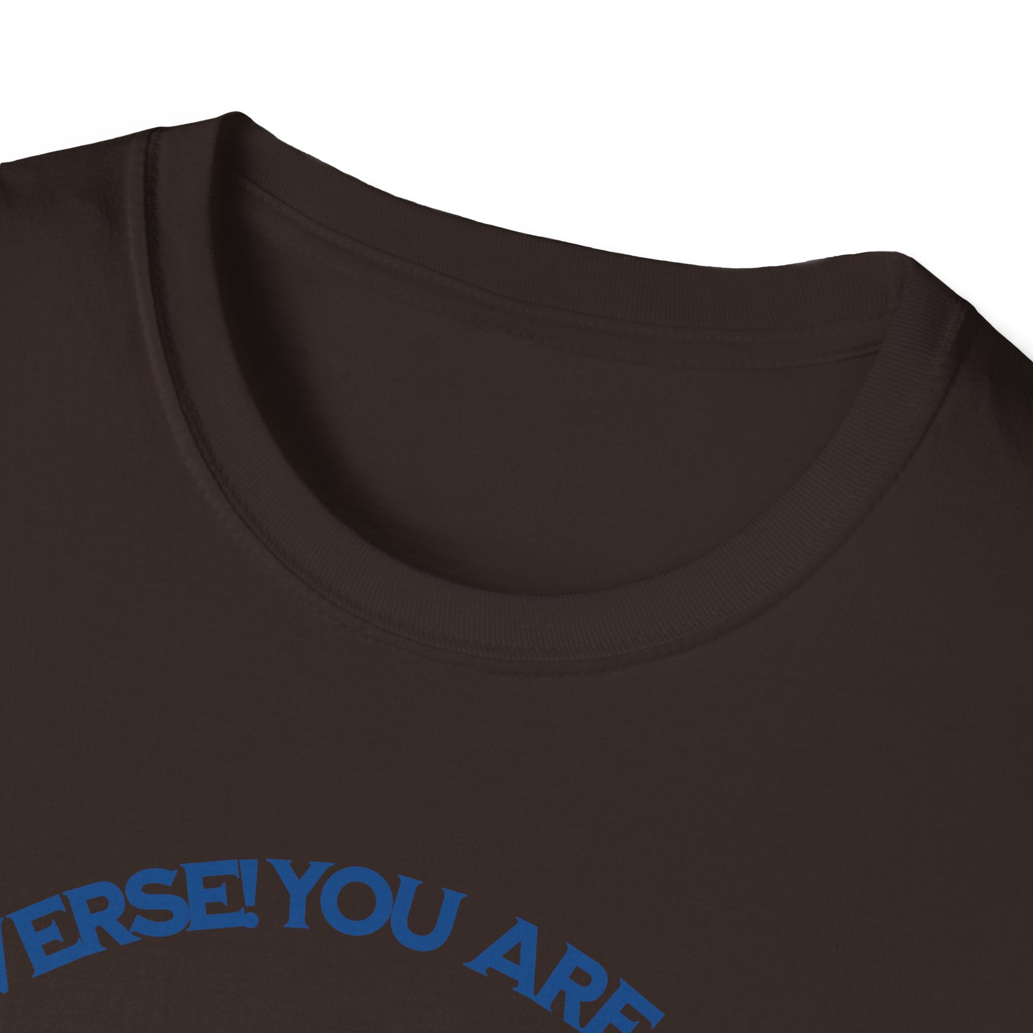 "You Are Not the Center of the Universe, But You Are The Universe" Retro Heart Graphic Tee