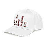 "Ever Burgeoning Possibility" Vertical Text Embroidered Hat