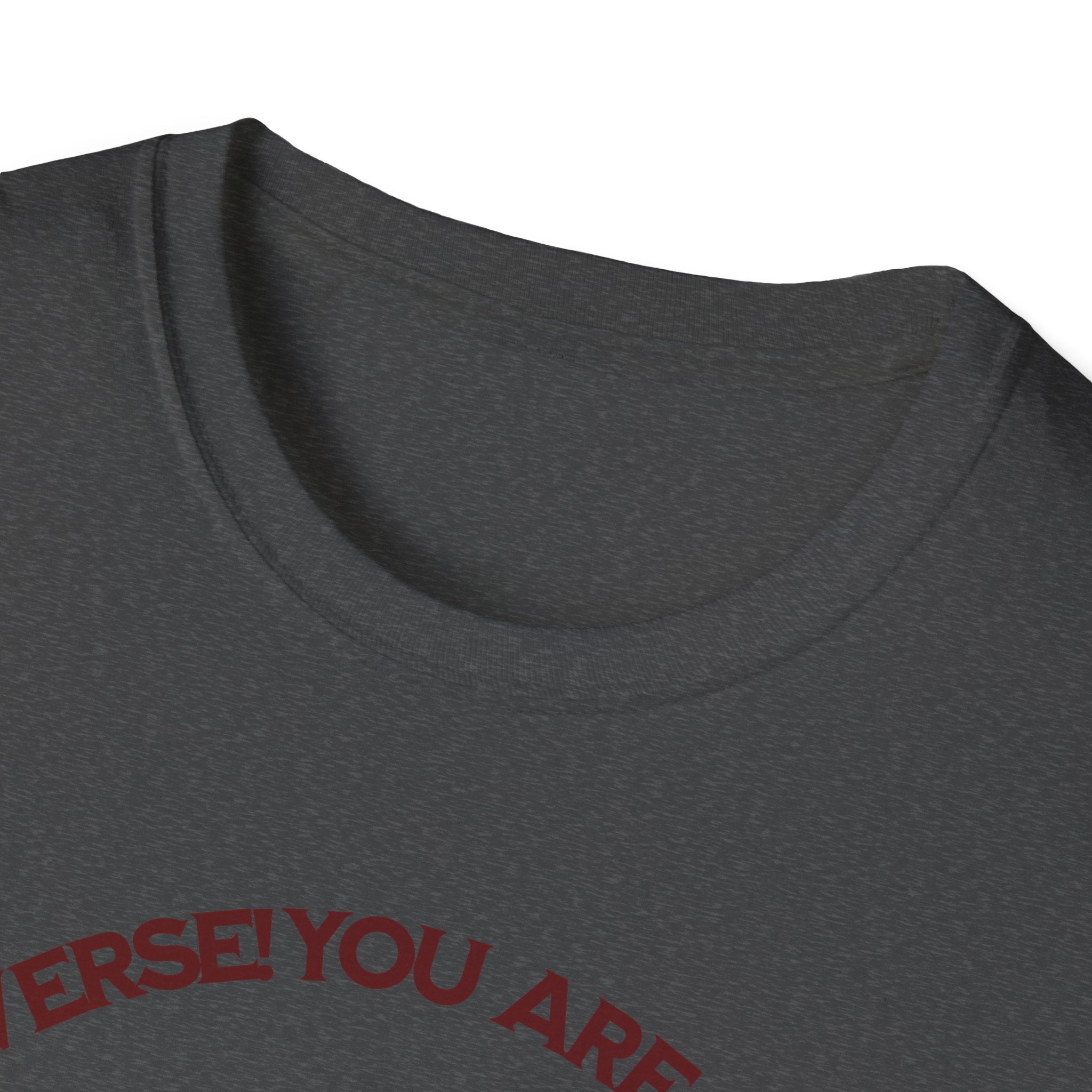 "You Are Not the Center of the Universe, But You Are The Universe" Retro Heart Graphic Tee