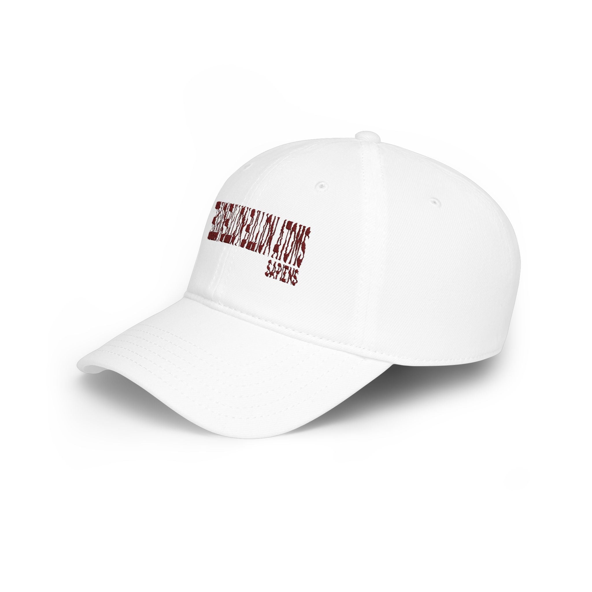 The Common Ground of "7 Billion Billion Billion Atoms" Low Profile Embroidered Baseball Cap
