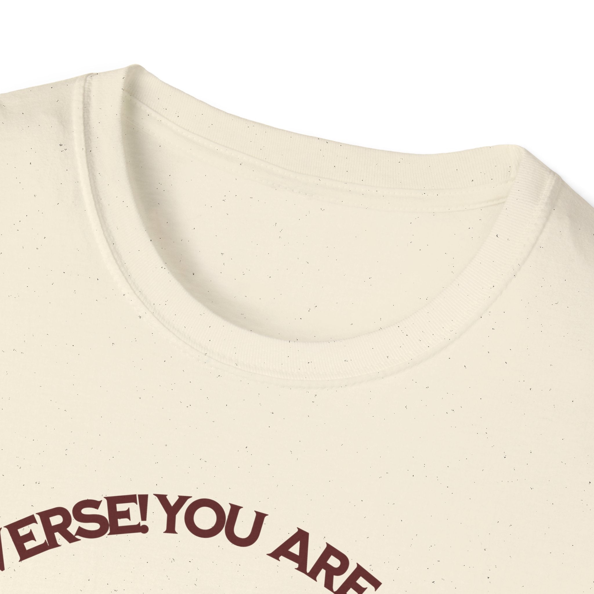 "You Are Not the Center of the Universe, But You Are The Universe" Retro Heart Graphic Tee