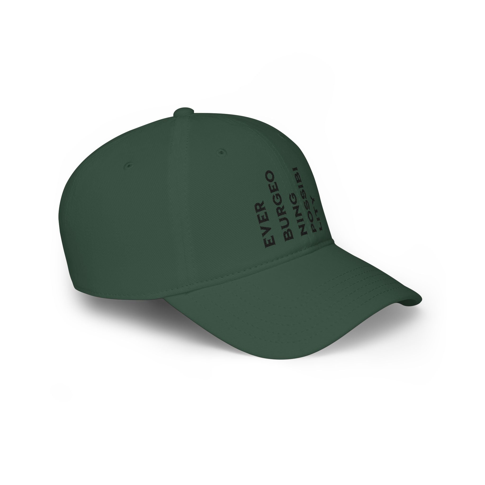 Ever Burgeoning Possibility Cap — Low Profile Baseball Hat