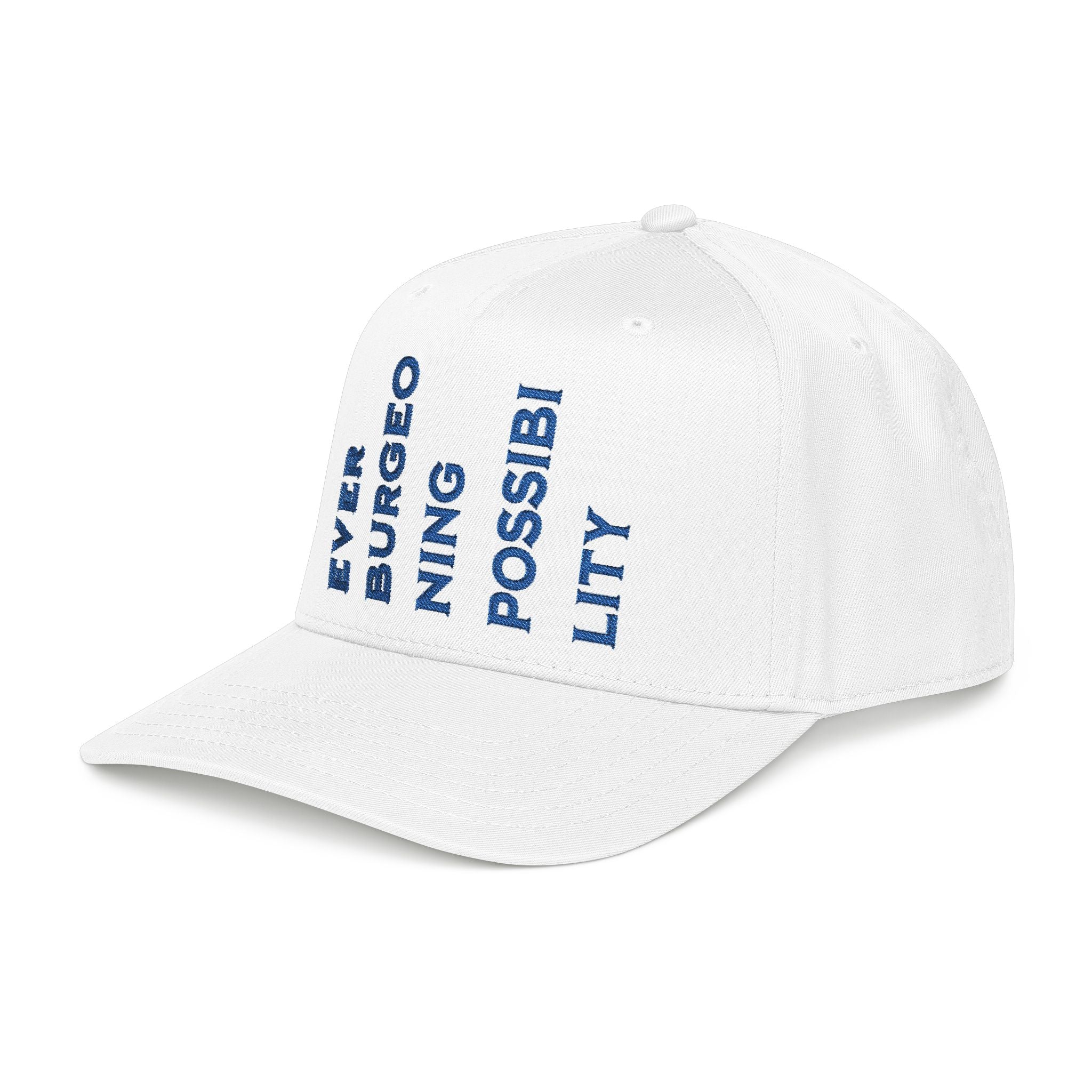"Ever Burgeoning Possibility" Vertical Text Embroidered Hat