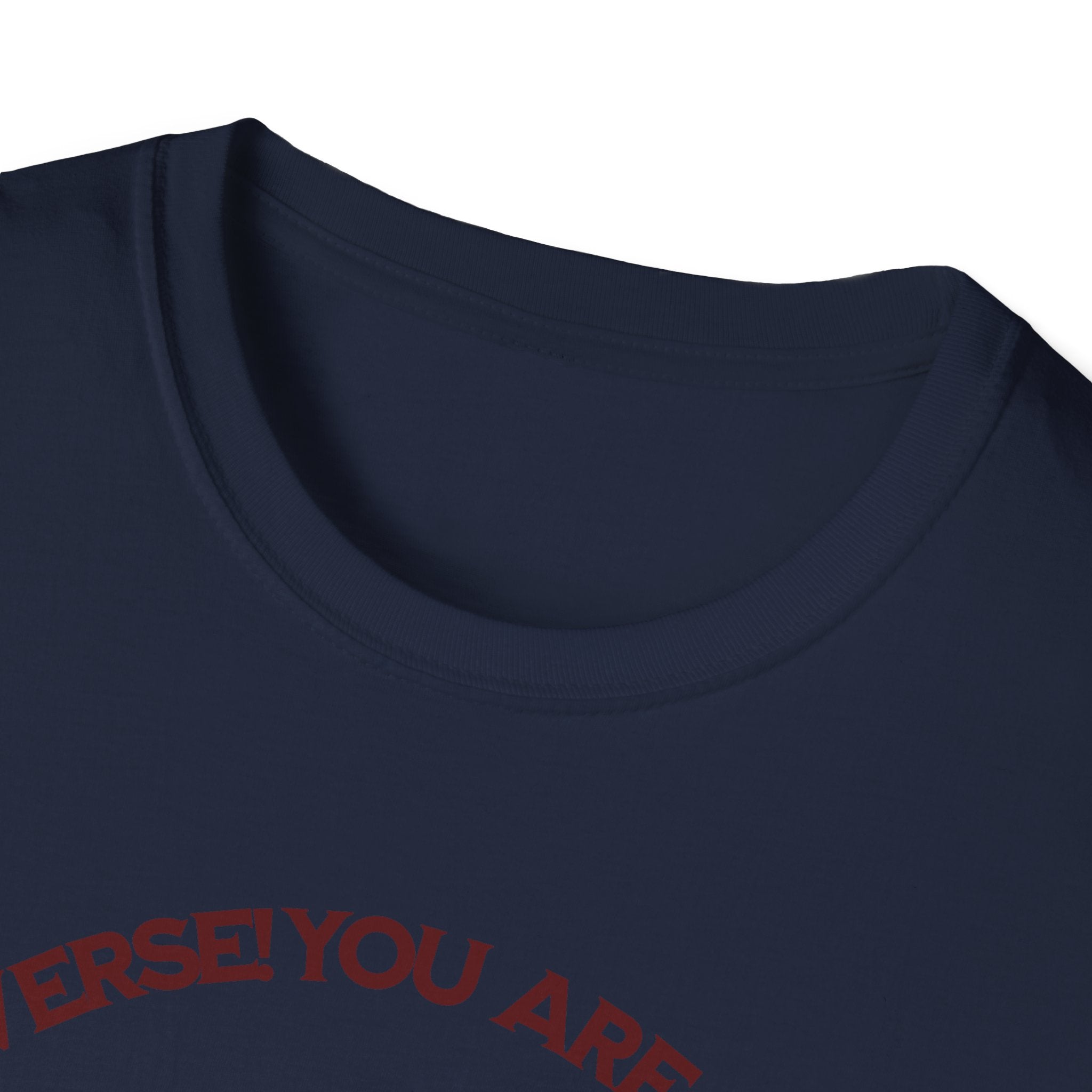 "You Are Not the Center of the Universe, But You Are The Universe" Retro Heart Graphic Tee