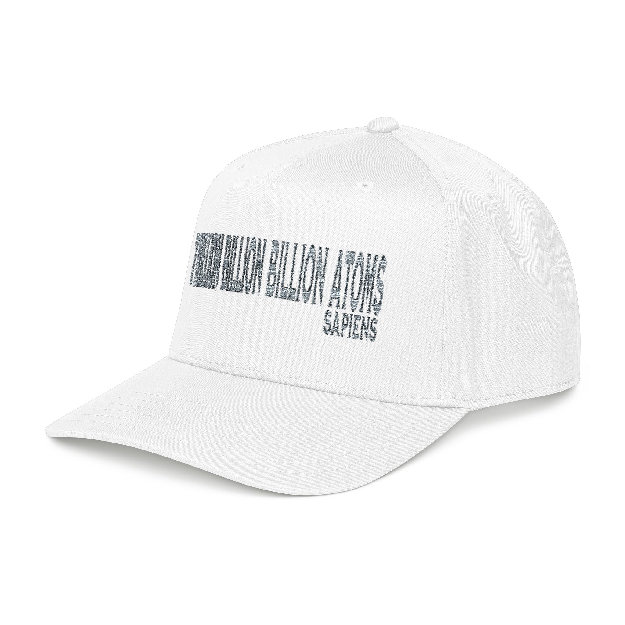 The Common Ground of "7 Billion Billion Billion Atoms" Embroidered Cap