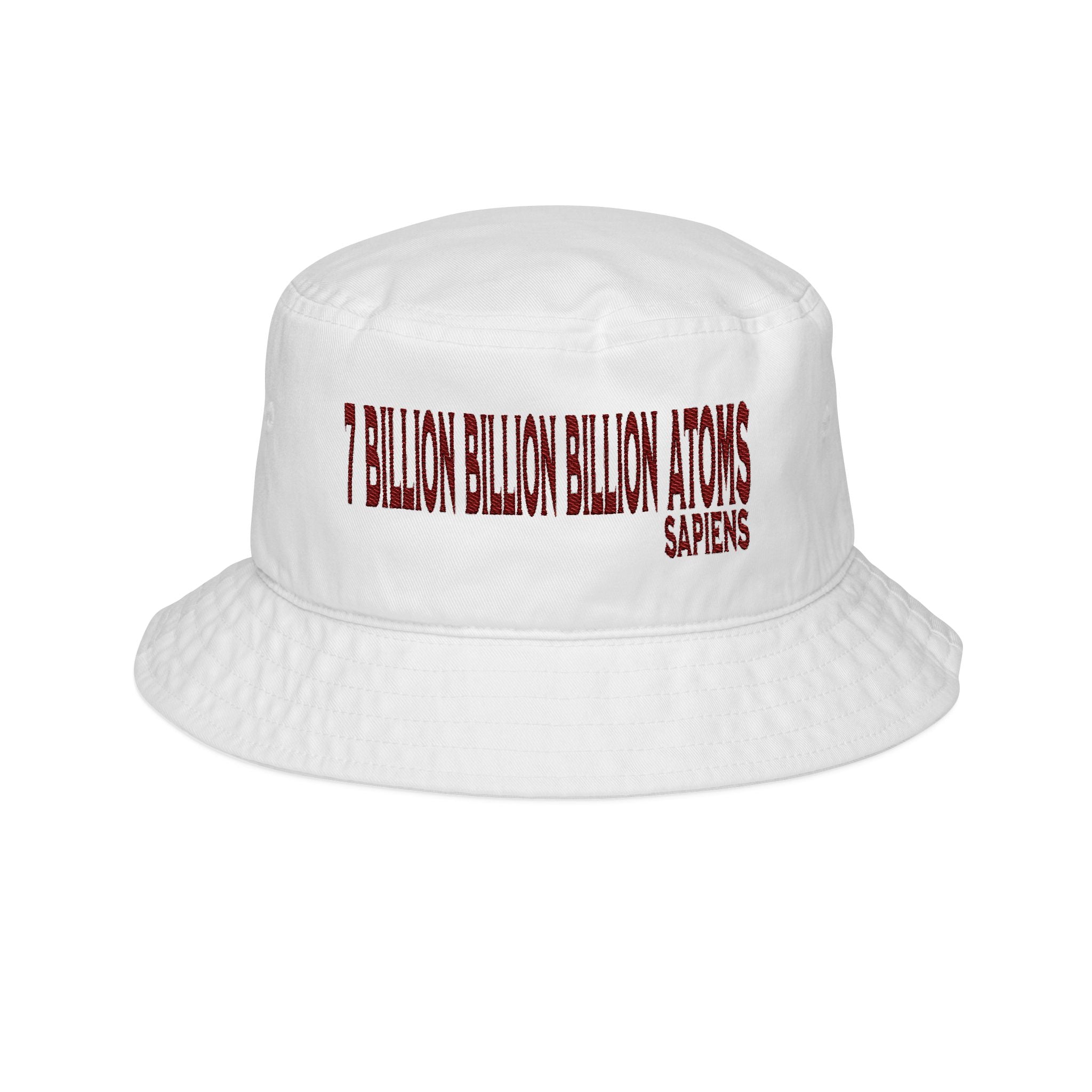 The Common Ground of "7 Billion Billion Billion Atoms" Embroidered Bucket Cap