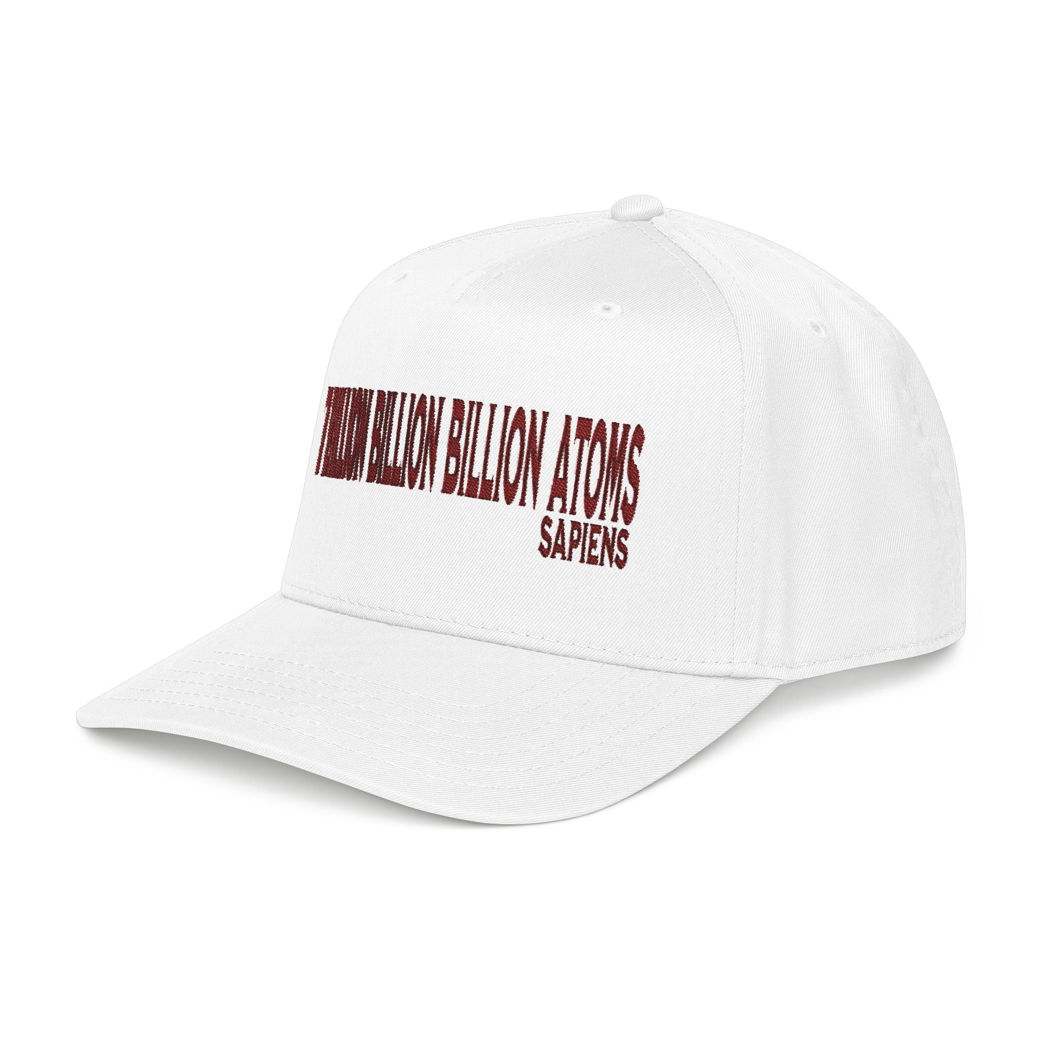 The Common Ground of "7 Billion Billion Billion Atoms" Embroidered Cap