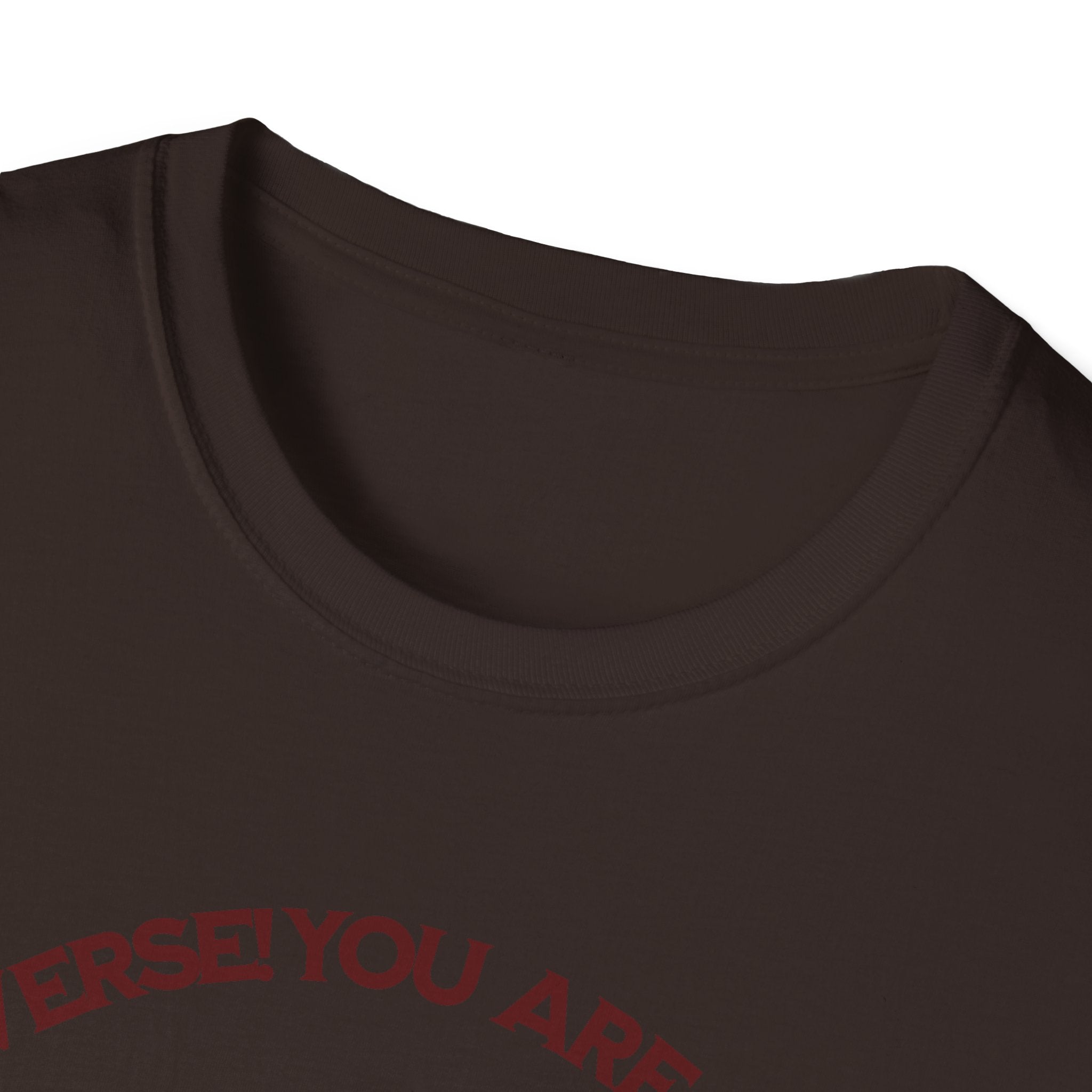 "You Are Not the Center of the Universe, But You Are The Universe" Retro Heart Graphic Tee